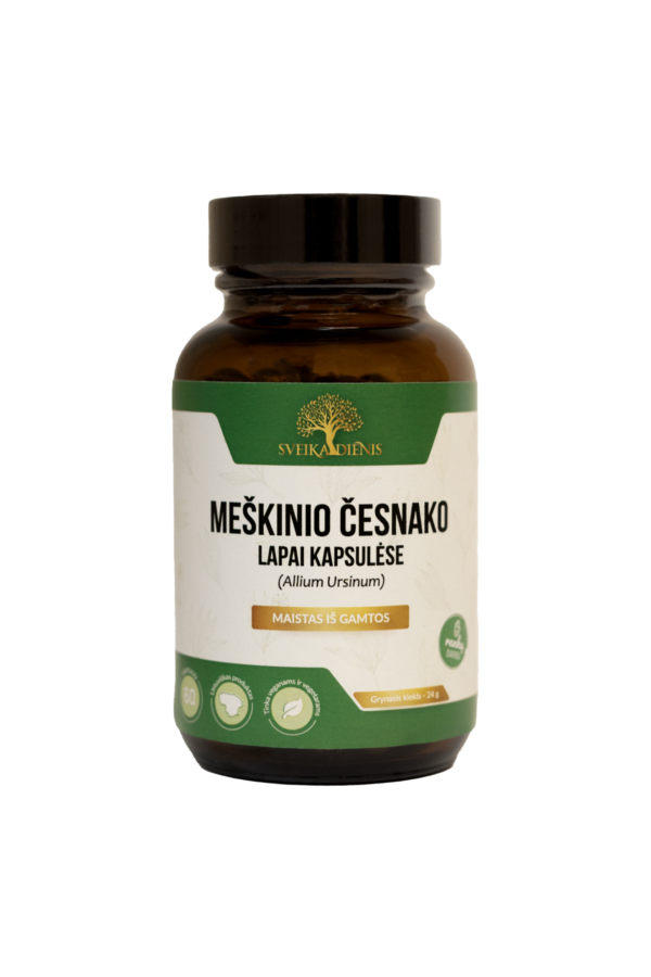 Meškinis česnakas